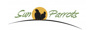 Sun Parrots