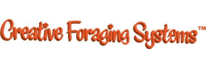Creative Foraging Systems